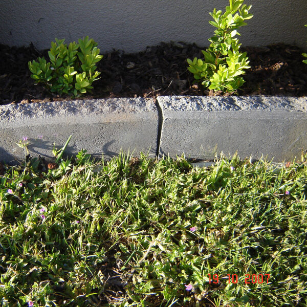 Garden Border - Bluestone