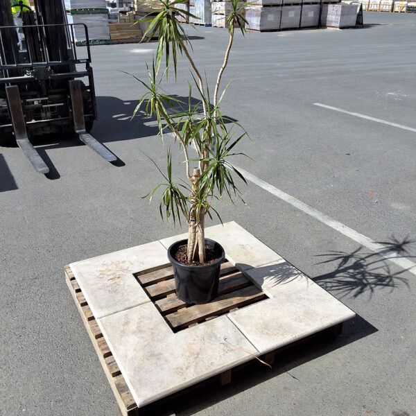 Travertine Tree Surrounds & Garden Feature. Available Mt Barker