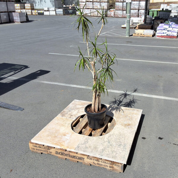 Travertine Tree Surrounds & Garden Feature. Available Mt Barker